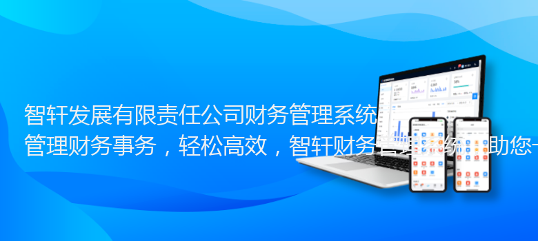 发展有限责任公司财务管理系统